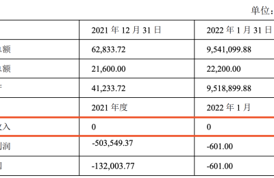 近30倍高溢价收购实控人之子控股公司， 标的公司0营收，维尔利收深交所关注函