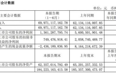 长城汽车2023上半年营收699.71亿元  毛利率降至12.6%