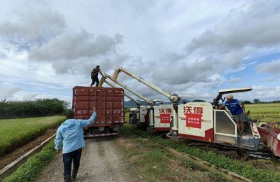 汛期来临 太保服务多措并举织密“防护网”