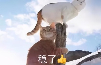 新东方六级(新东方六级词汇乱序版)