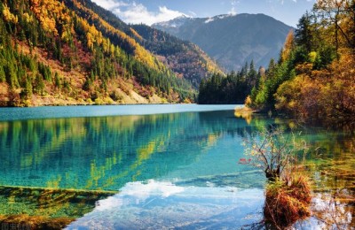 九寨沟导游词(九寨沟导游词1000字)