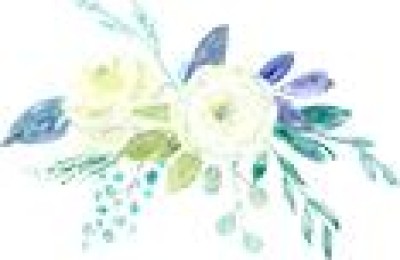 贵州教育考试网(贵州教育考试网官网)