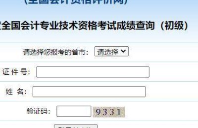 全国会计资格评价网查询成绩(全国会计资格评价网查询成绩初级)