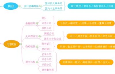 山东注册会计师发展前景(山东注册会计师年薪)