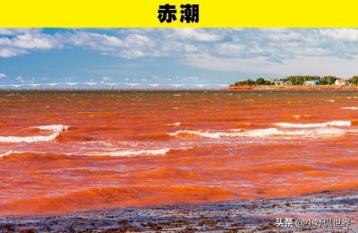 奇妙的大自然二年级写话(奇妙的大自然二年级写话教案)