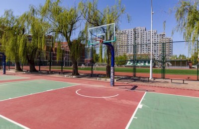 出国留学申请条件(外国留学生条件)