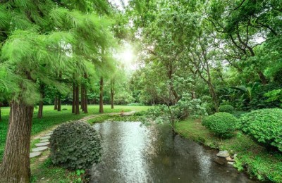 园林专业考二级建造师(园林专业考二级建造师的条件)