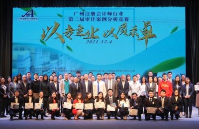 注册会计师信息系统审计案例(注册会计师审计的案例)