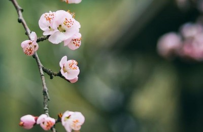 新闻作文500字(新闻作文500字10篇)