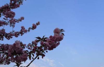 艺术节开幕词(艺术节开幕词和闭幕词)