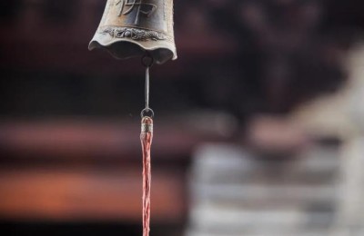 关于知音的诗句(关于知音的诗句古诗)