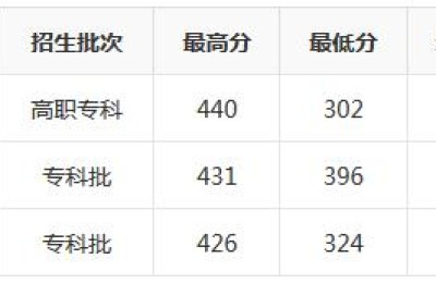 湖南科技职业学院分数线(湖南科技职业学院分数线是多少)