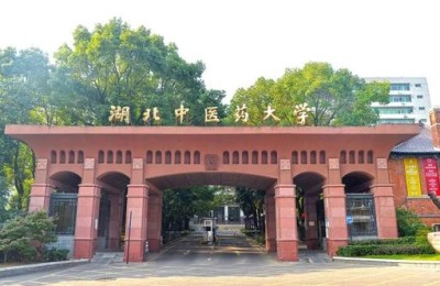 湖北中医药大学分数线(湖北中医药大学分数线2021)