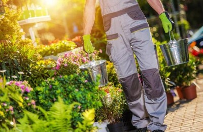 商品花卉专业 二级建造师(二级花卉园艺师)