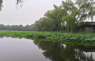 宏观经济学重点(宏观经济学重点知识点超全整理)