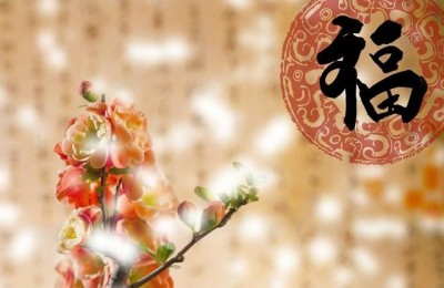 新年趣事(新年趣事作文)