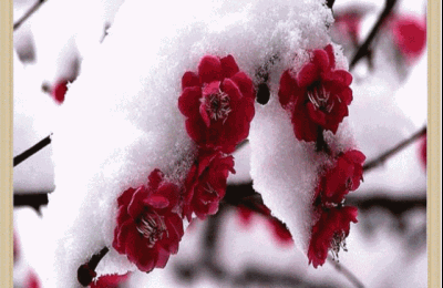 新年作文400字(新年作文400字四年级)