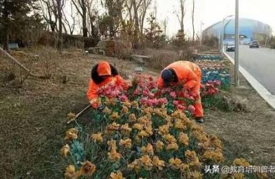 二级建造师园林能考吗(园林可以考二级建造师吗)