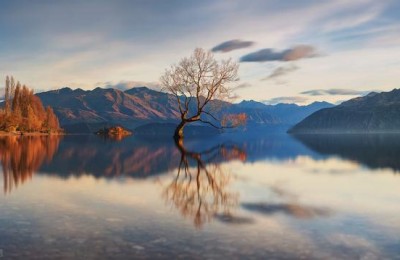 陕西2019二级建造师考试网(陕西省二级建造师考试)