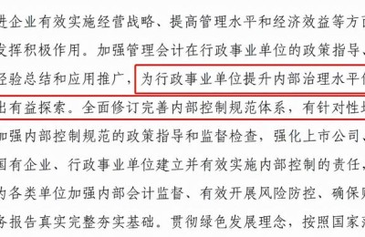 中国注册会计师准则 审阅(中国注册会计师审核准则)