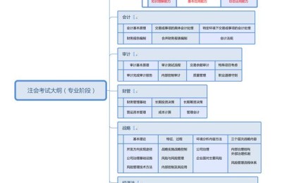 注册会计师应具备的技能(注册会计师应该具备的技能)