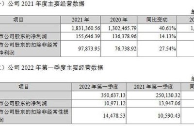 注册会计师年总收入(注册会计师的年收入)