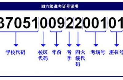 99宿舍四级查询(99宿舍四级查分入口)