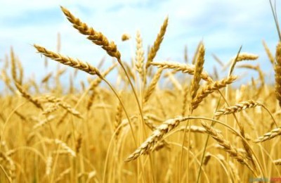 thirsty是什么意思(thirsty是什么意思英语)