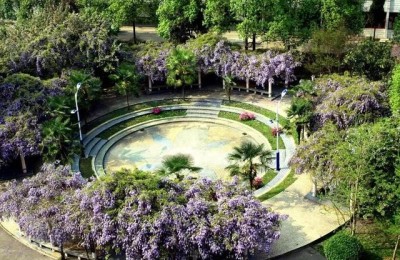 贵州省余庆中学(贵州省余庆中学官网)