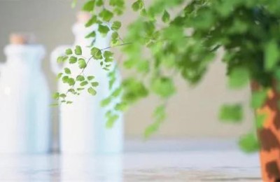 读者文摘在线阅读(读者在线阅读_读者文摘在线阅读)