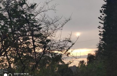 珍贵的礼物(珍贵的礼物阅读题答案)