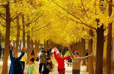 友情文章(友情文章阅读)