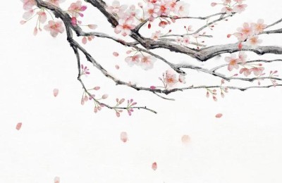 摘抄赏析(摘抄赏析大全)