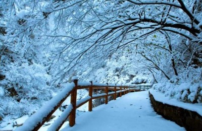 有关冬雪的诗句(有关冬雪的诗句有哪些)