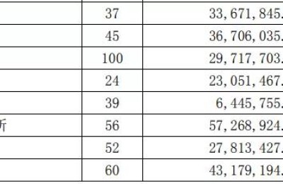 执业的注册会计师多少钱一年(执业注册会计师会费多少)