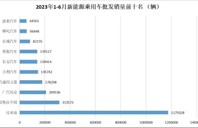 特斯拉比亚迪之后，电车的第三名稳当吗？