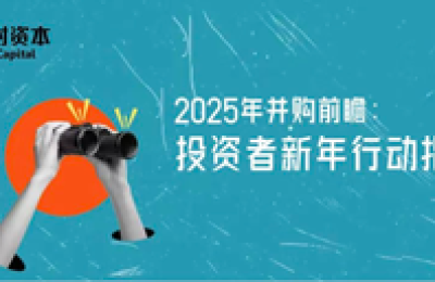 一村资本2025年并购前瞻：投资者的新年行动指南