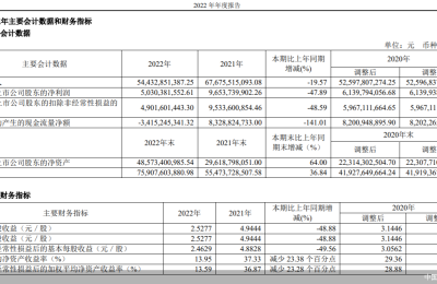 营收净利双降 中国中免的内忧与外患