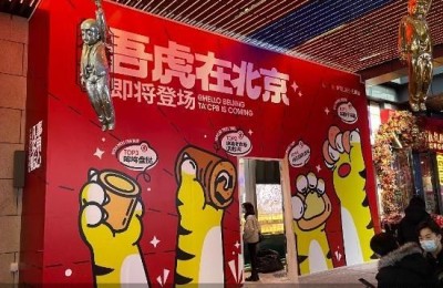 闭店撤城还要搞加盟，虎头局在断尾自救？