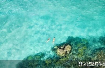 外旅局也“卷”起来了！扎堆中国市场“抢”客
