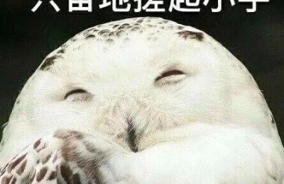 考研数学什么时候考(考研数学时间应该怎么安排)
