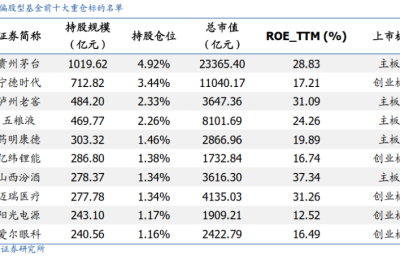 公募顶流独门重仓股悉数曝光！这一关键指标创近4年新低 基金不“抱团”了？