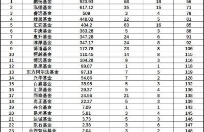 个人系公募沉浮记：高光、分化与变局