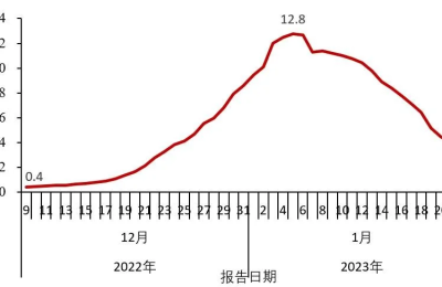 中疾控发布全国新冠感染情况：最高峰重症数量每日增近1万