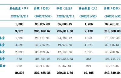 2022年公募规模26万亿 股基债基现“跷跷板效应”