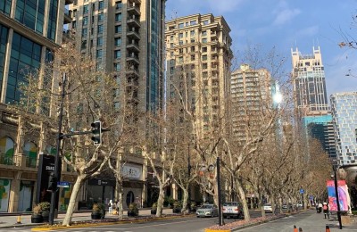 上海中介小哥：去年团队只成交4~5套房 提成或超过160万