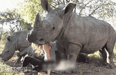 张开围(张开围场)