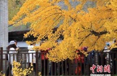中秋节祝福语简短10字(中秋节祝福语简短10字合集)