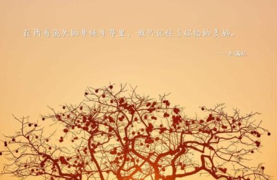 七夕贺卡怎么写(七夕贺卡怎么写送女友)