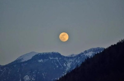 八月十五夜月二首(八月十五夜月二首其一杜甫)